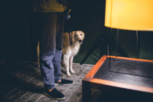 3.00 am serie by jorge güiro 30