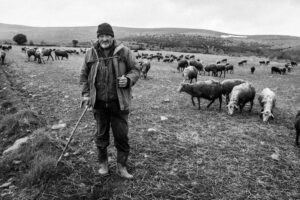 el gallinero by jorge güiro 18