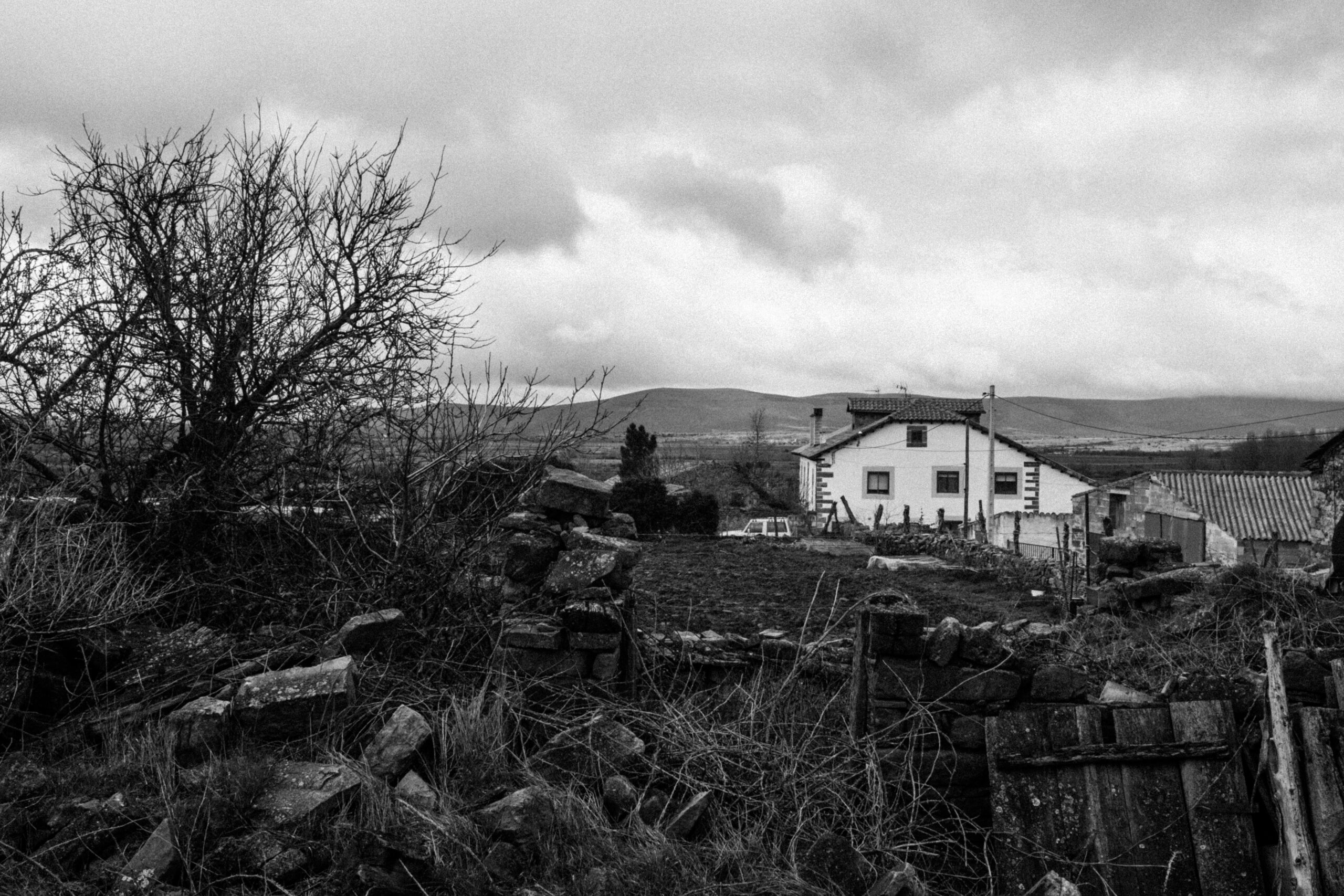 el gallinero by jorge güiro 