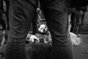 london by jorge guiro9