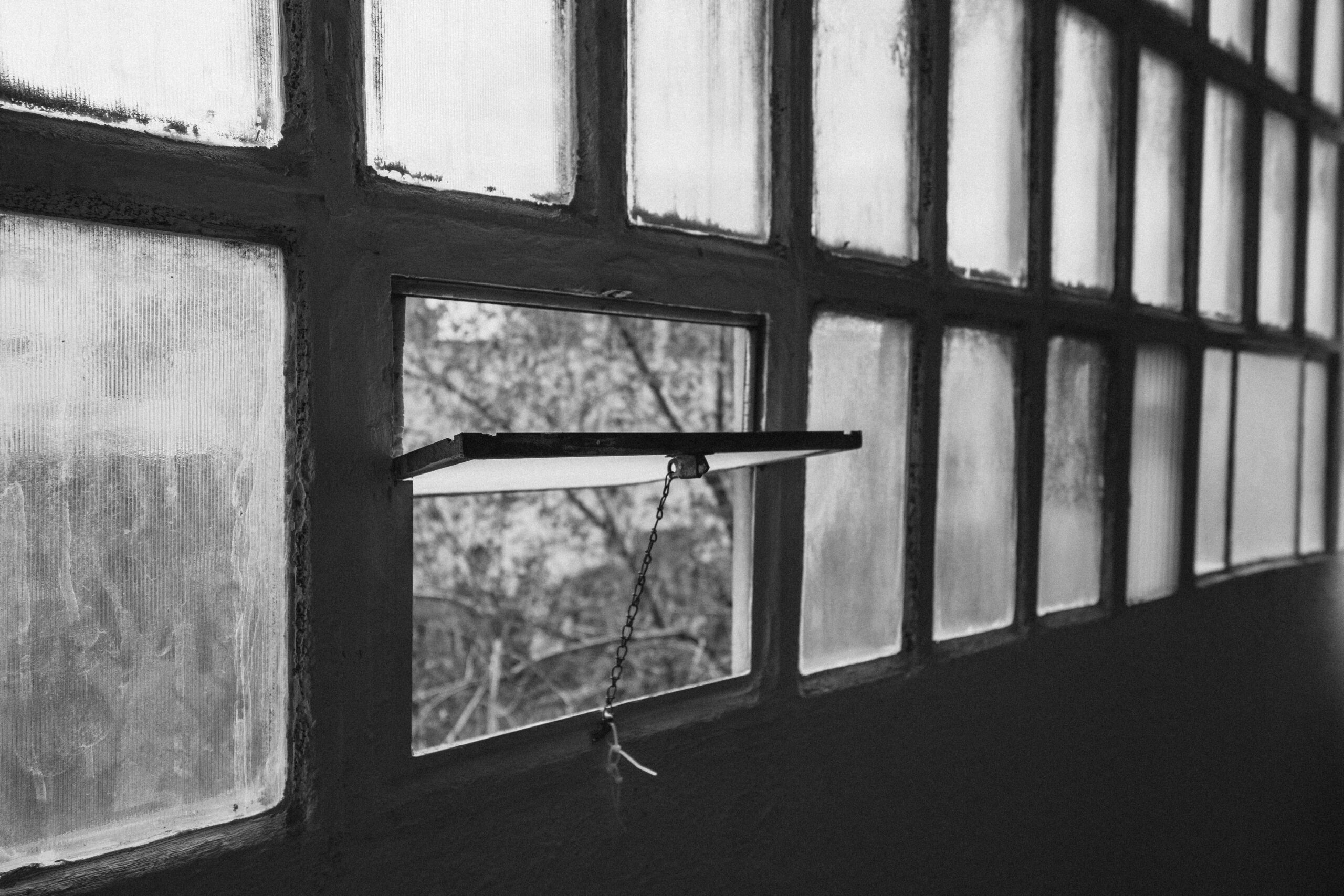 QD By Jorge Guiro 3 Scaled